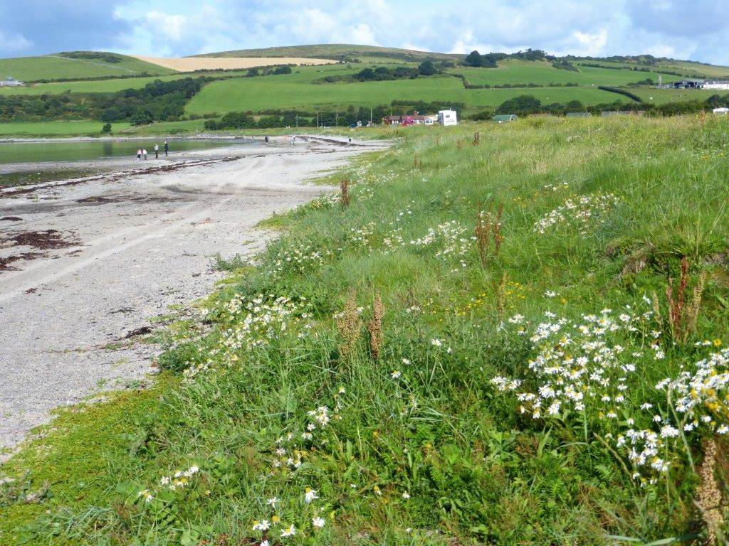 North end of Ettrick Bay